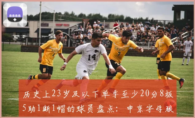 历史上23岁及以下单季至少20分8板5助1断1帽的球员盘点：申京字母狼王等人