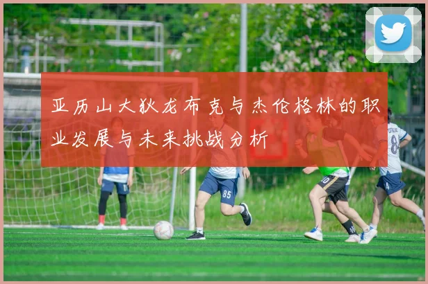 亚历山大狄龙布克与杰伦格林的职业发展与未来挑战分析