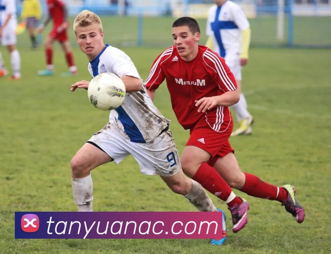 多媒体互动体验